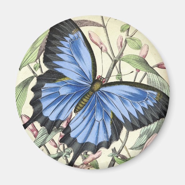 Vintage Butterfly Magnet (Framsidan)