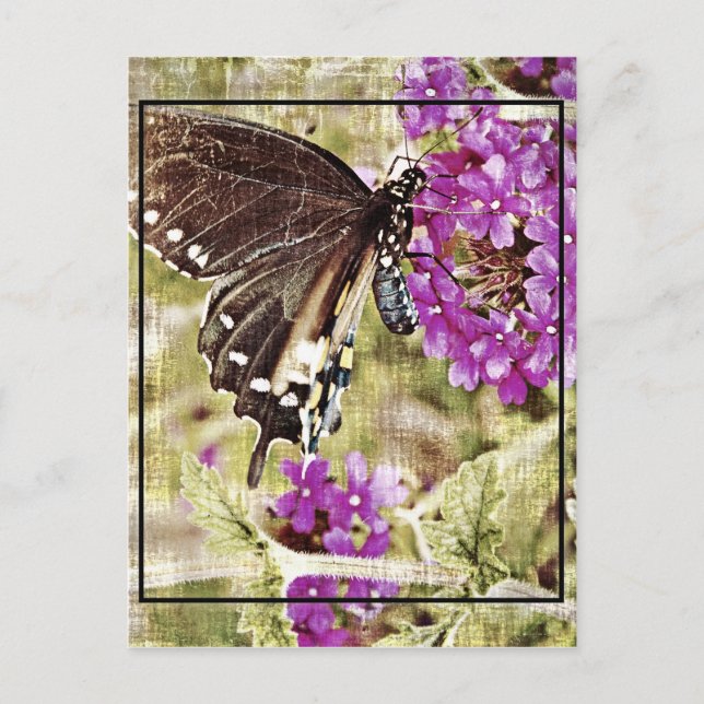 Vintage Butterfly med blomma Vykort (Framsida)