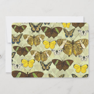 Vintage Butterfly Moth Chart Mönster