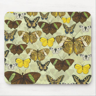 Vintage Butterfly Moth Chart Mönster Musmatta