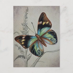 Vintage Butterfly No 1 Watercolor Art Art Vykort