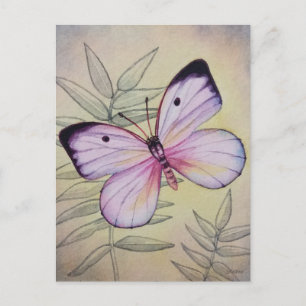 Vintage Butterfly No 4 Watercolor Art Art Vykort