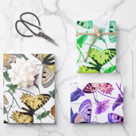 Vintage Butterfly och månmålning