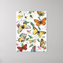 Vintage Butterfly och månmålning Canvastryck