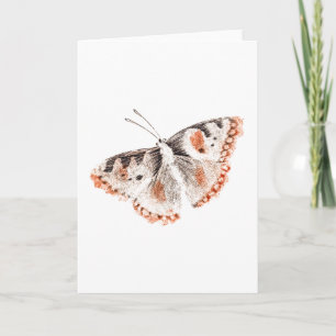 Vintage Butterfly Old Illustration Card Kort