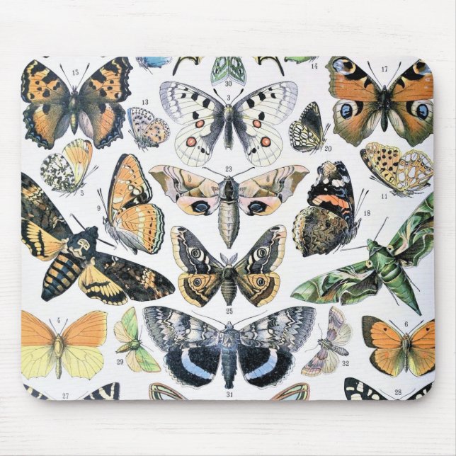 Vintage Butterfly Papillon Old Illustration Art Musmatta (Framsidan)
