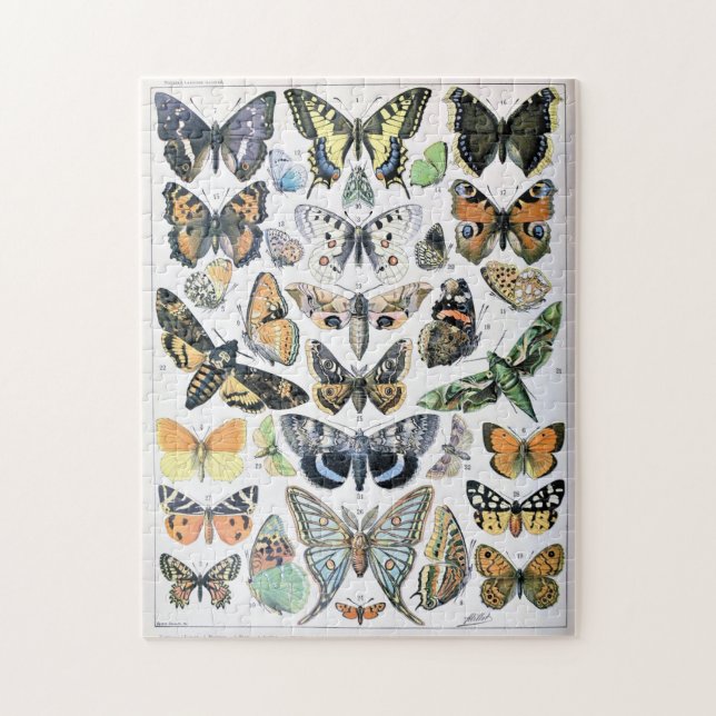 Vintage Butterfly Papillon Old Illustration Art Pussel (Vertikal)