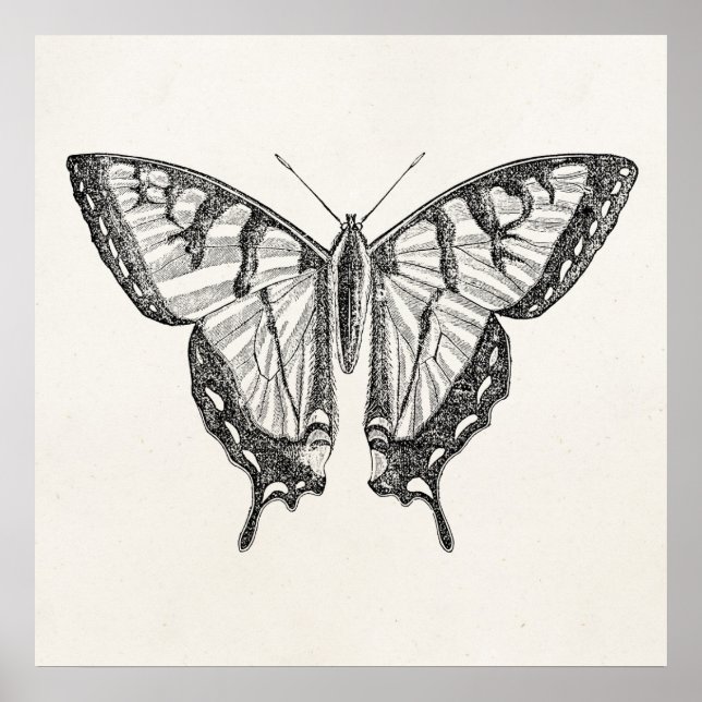 Vintage Butterfly Personlig Butterflies Insektra Poster (Framsidan)