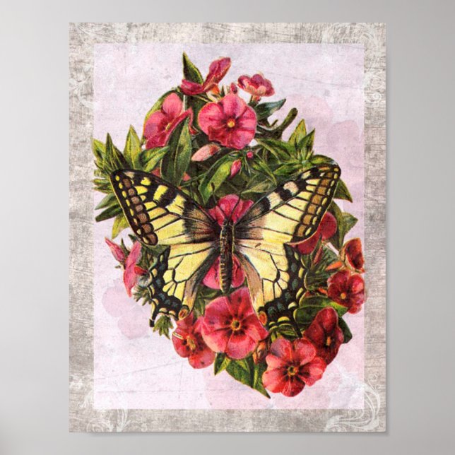 Vintage Butterfly Poster (Framsidan)