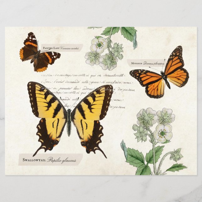 Vintage Butterfly Swallowtail Monarch Pawarded Dam (Framsida)