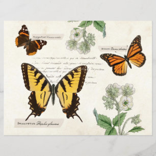 Vintage Butterfly Swallowtail Monarch Pawarded Dam