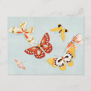 Vintage Butterfly-vykort Vykort