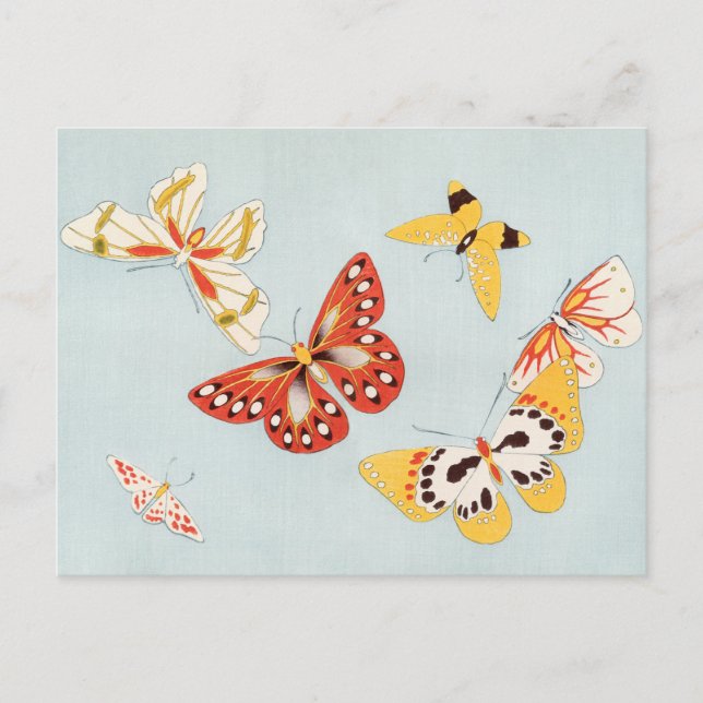 Vintage Butterfly-vykort Vykort (Framsida)