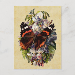 Vintage Butterfly-vykort Vykort