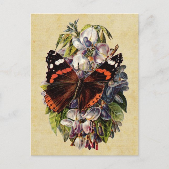 Vintage Butterfly-vykort Vykort (Framsida)