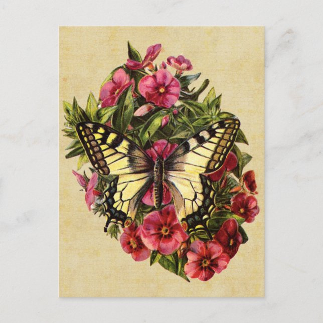 Vintage Butterfly-vykort Vykort (Framsida)