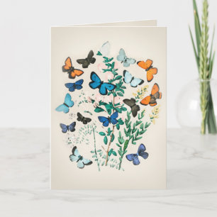 Vintage Butterfly Watercolor Kort