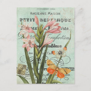 Vintage Butterfy och Lily-vykort Vykort