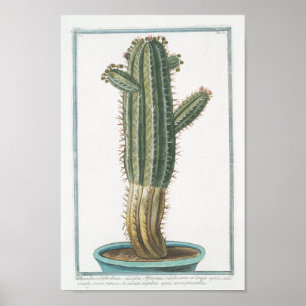 Vintage Cactus Botanical Poster Art (8 x 12 tum)
