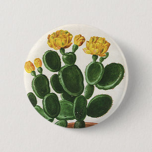 Vintage Cactus Flowers, Succulents Cacti Plants Knapp