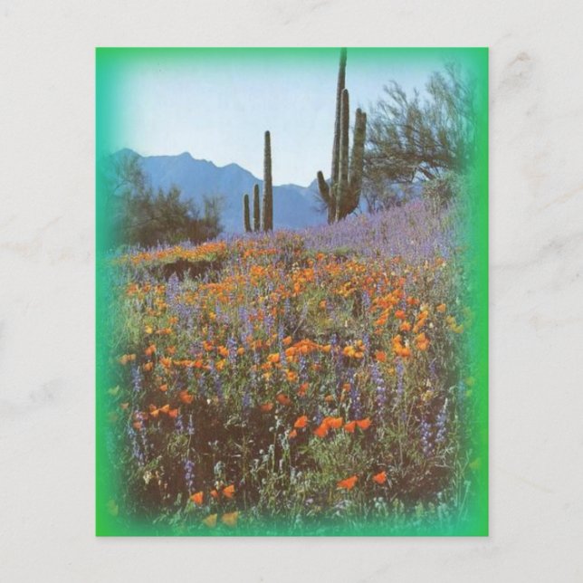 Vintage Cactus Stationary (Framsida)