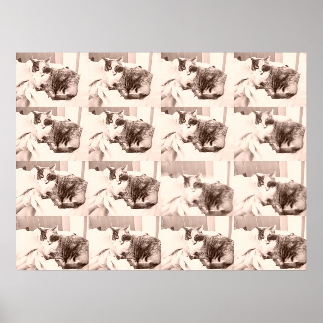 Vintage Calico Cat Poster (Framsidan)