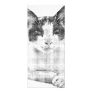 Vintage Calico Halvton Reklamkort