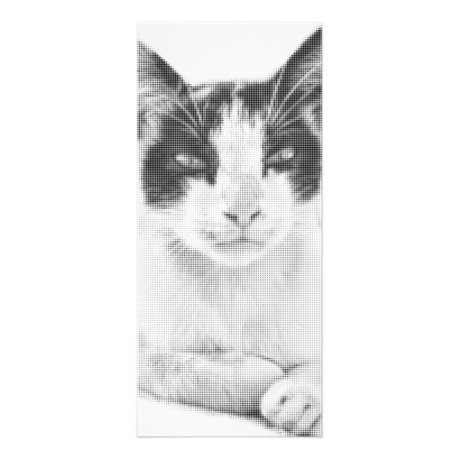 Vintage Calico Halvton Reklamkort (Framsidan)