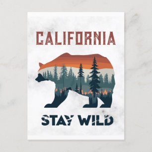Vintage California Bear Vild Travel Postcard Vykort