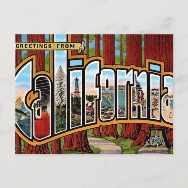 Vintage Californien Redwoods Vykort (Framsida)