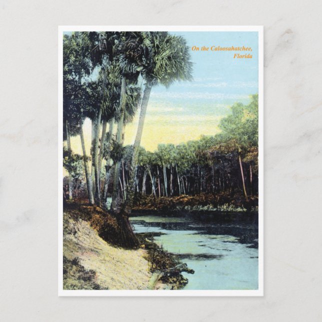 Vintage Caloosahatchee River Florida Vykort (Framsida)
