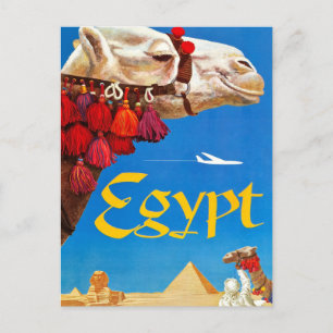 Vintage Camel och Pyramids Vykort