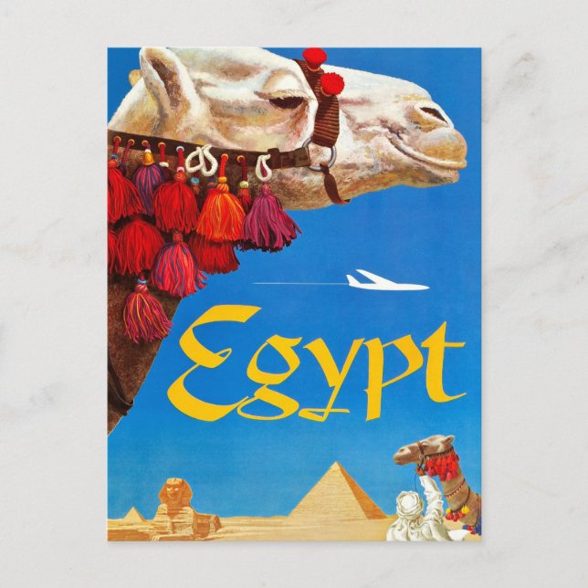 Vintage Camel och Pyramids Vykort (Framsida)