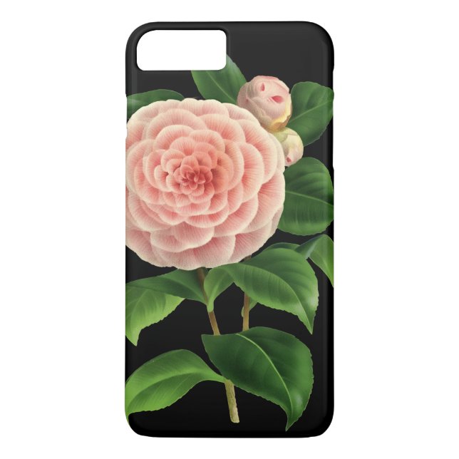 Vintage Camellia Blommar Botanical Case-Mate iPhone Skal (Baksida)