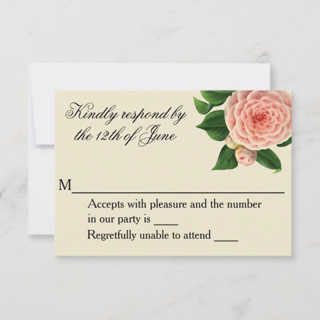 Vintage Camellia Botanias OSA (Framsida)