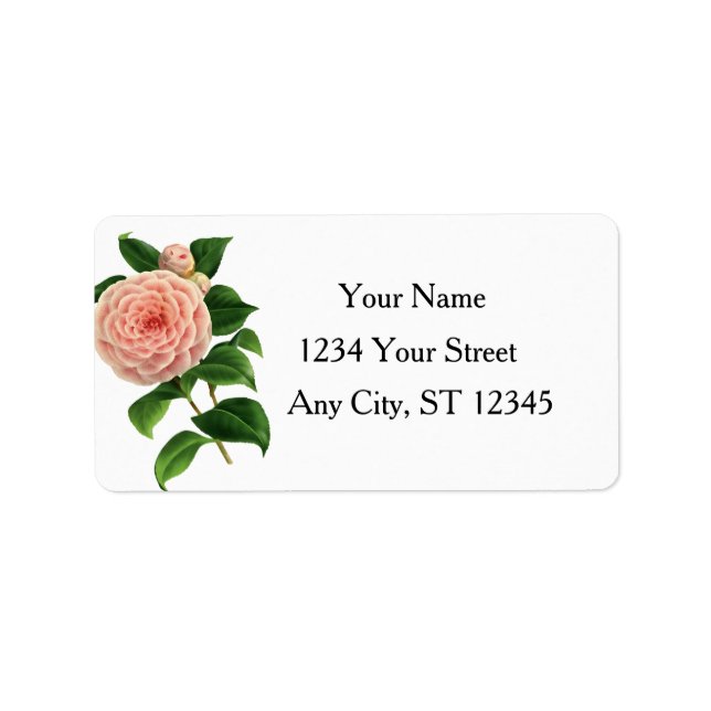 Vintage Camellia Botanical Adressetikett (Framsidan)