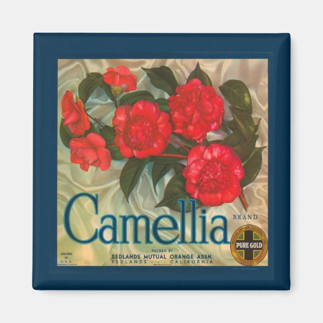 Vintage Camellia Brand Magnet (Framsidan)