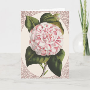 Vintage Camellia Elegant Tack Kort