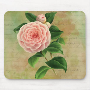 Vintage Camellia Fransk Botanical Musmatta