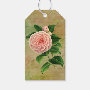 Vintage Camellia Fransk Botanical Presentetikett