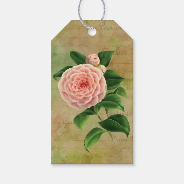 Vintage Camellia Fransk Botanical Presentetikett (Framsidan)