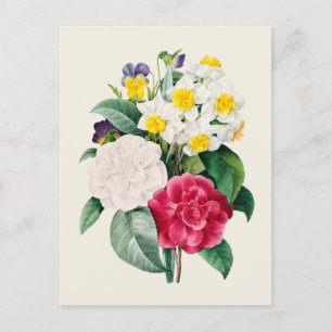 Vintage Camellia Narcissus och Pansy Flowers Vykort