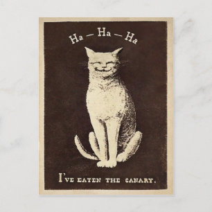 Vintage Canary Cat Vykort