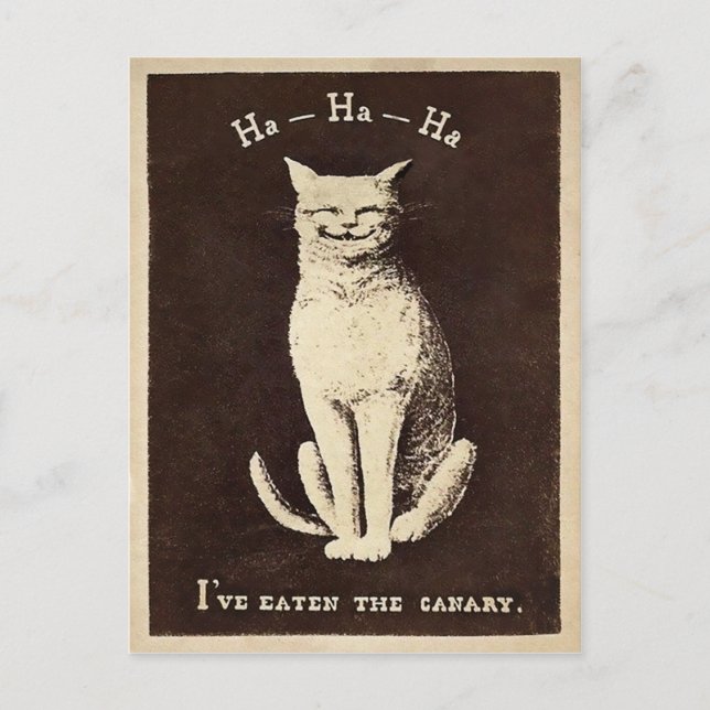 Vintage Canary Cat Vykort (Framsida)