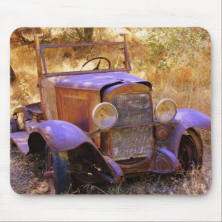 Vintage car musmatta