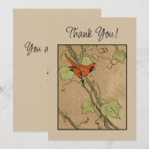 Vintage Cardinal Red Bird på Tacken Gren