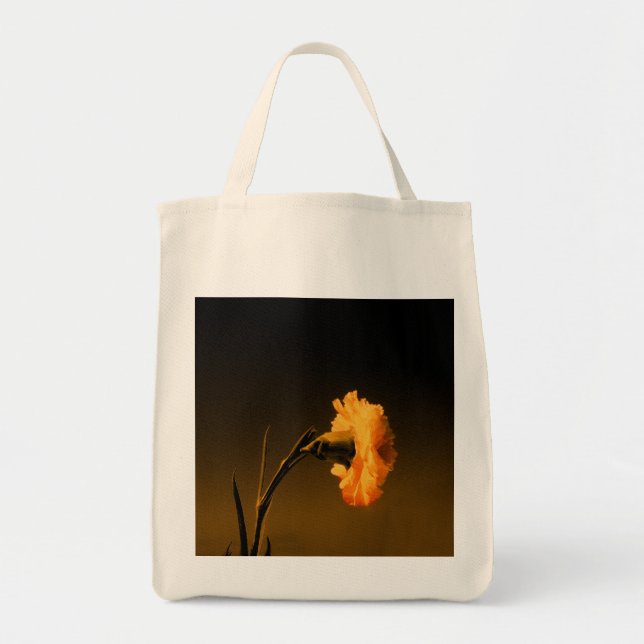 vintage Carnation-målning Tygkasse (Framsidan)