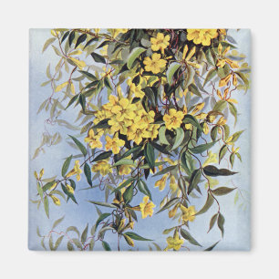Vintage Carolina Jessamine Gula blommor Blommigt Magnet