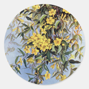 Vintage Carolina Jessamine Gula blommor Blommigt Runt Klistermärke