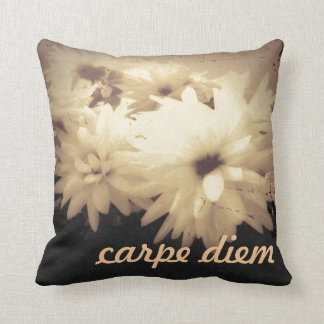 Vintage Carpe Diem kudder Kudde